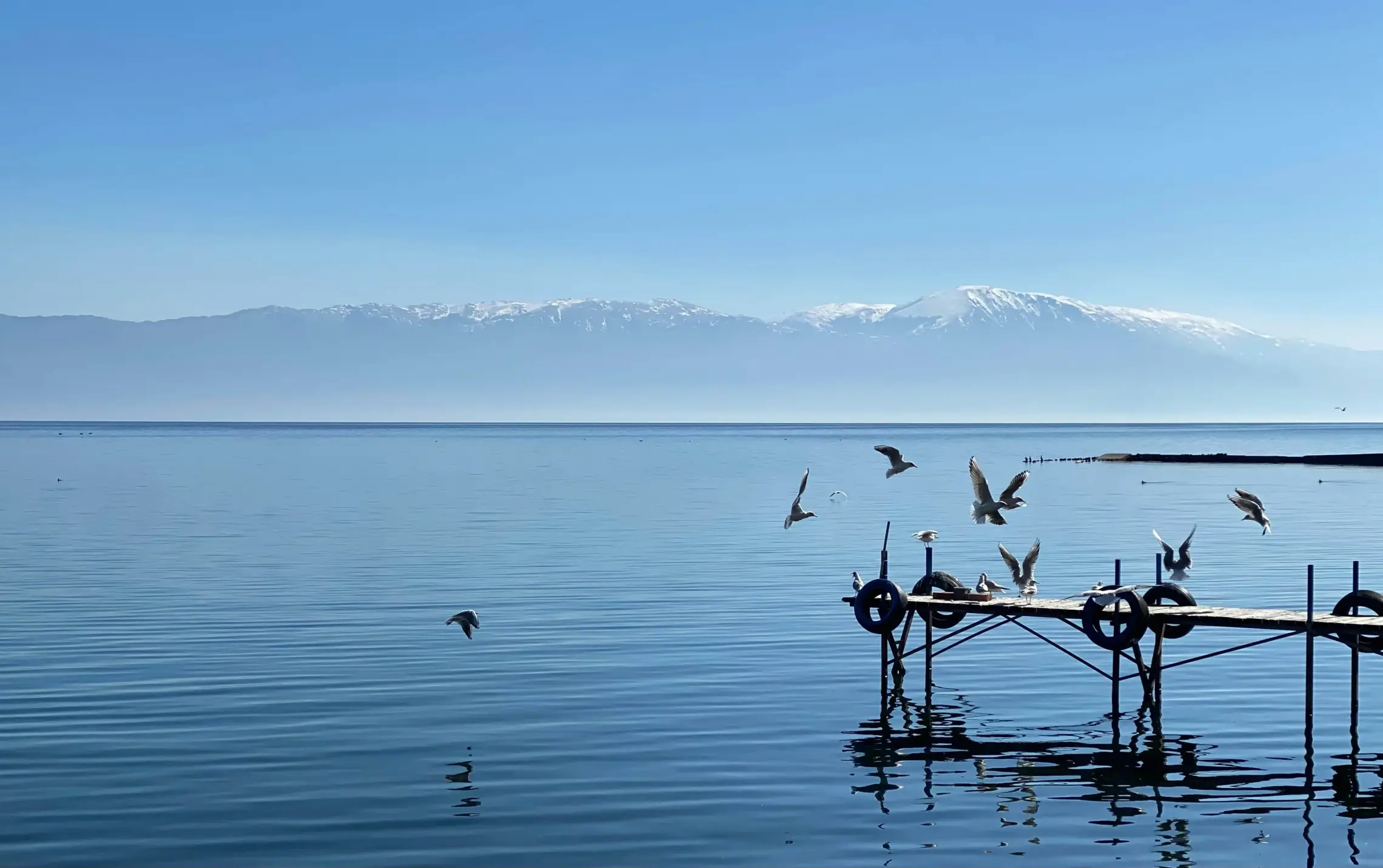 Struga - Albanie