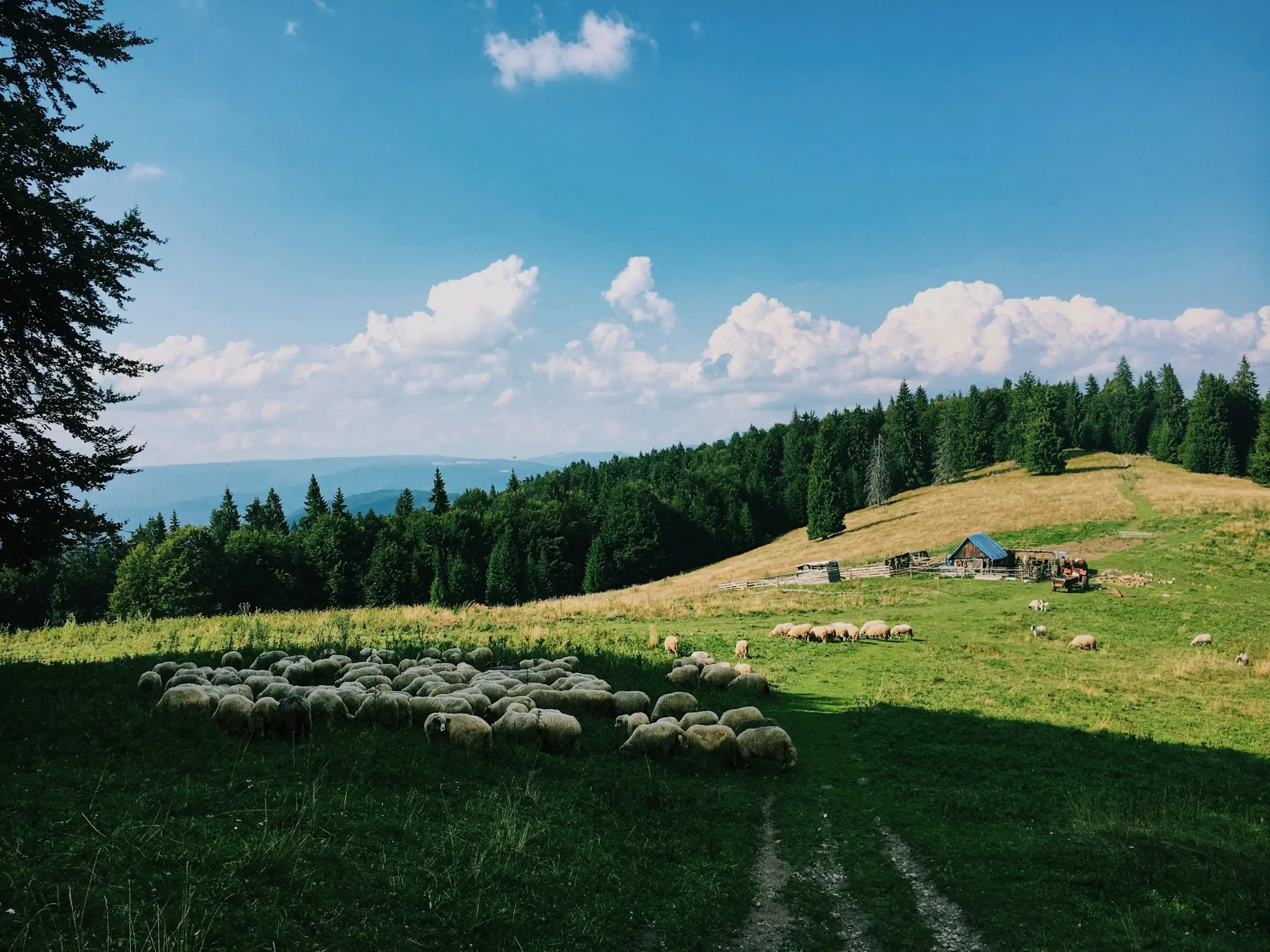 Écotourisme en Albanie : Top 5 des parcs naturels à explorer sans laisser de traces
